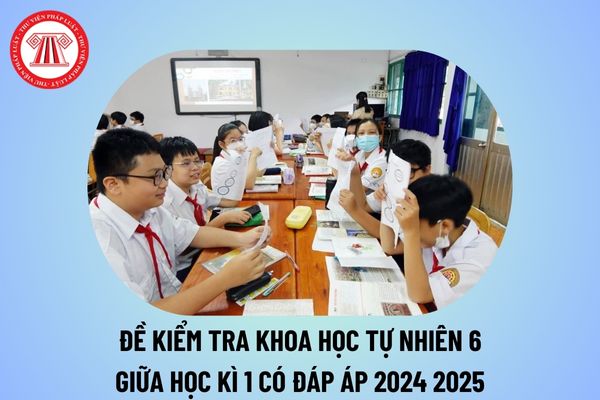 Đề kiểm tra giữa kì 1 KHTN 6 có đáp án năm học 2024 2025? Đề cương ôn tập giữa kì 1 KHTN 6 kèm đáp án 2024 2025?