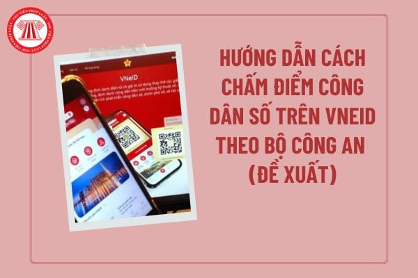 Pháp luật