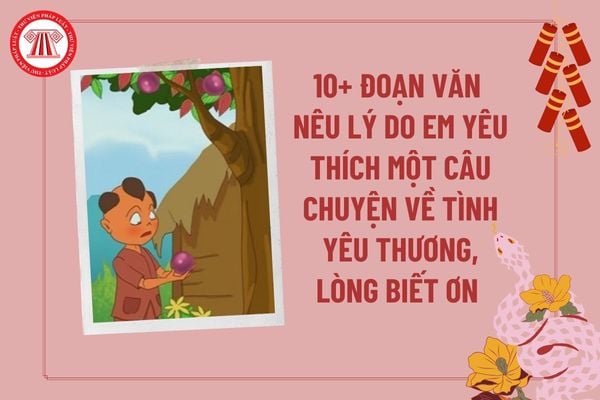 10+ Đoạn văn nêu lí do em yêu thích một câu chuyện về tình yêu thương hoặc lòng biết ơn hay và ý nghĩa? Nhiệm vụ học sinh?