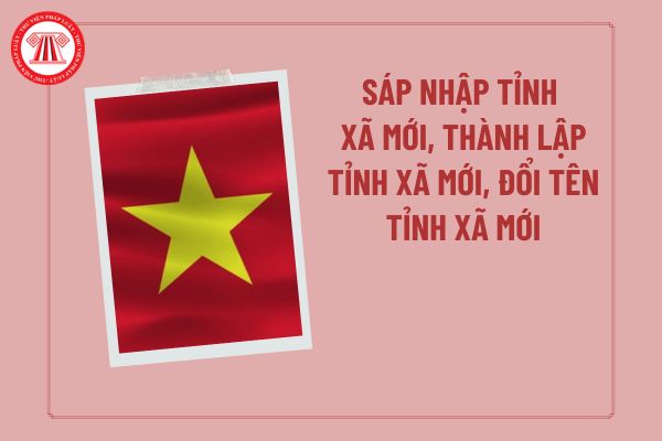 Pháp luật