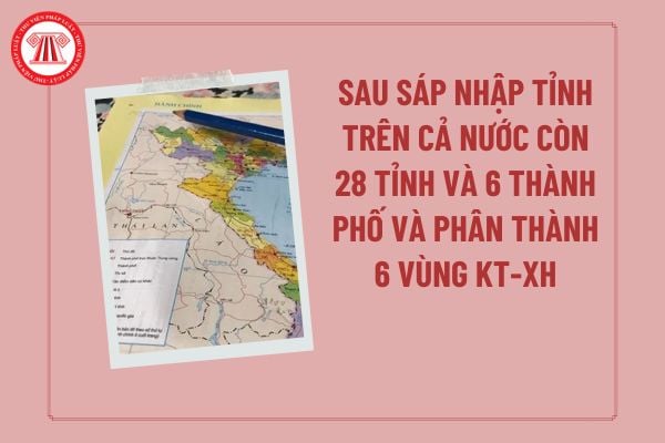 Pháp luật