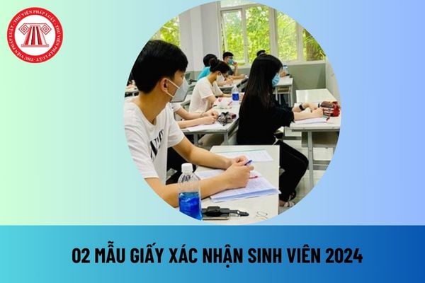 Mẫu giấy xác nhận sinh viên 2024 chuẩn nhất? Tải mẫu giấy xác nhận sinh viên 2024 file word ở đâu?