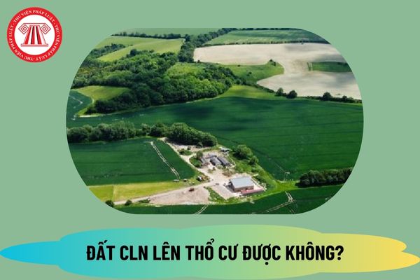 Đất CLN là đất gì? Đất CLN có lên thổ cư được không từ ngày 1 8 2024 theo Luật Đất đai 2024? 