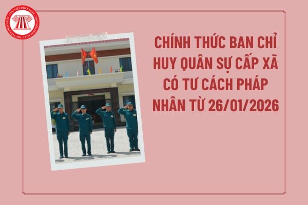 Pháp luật