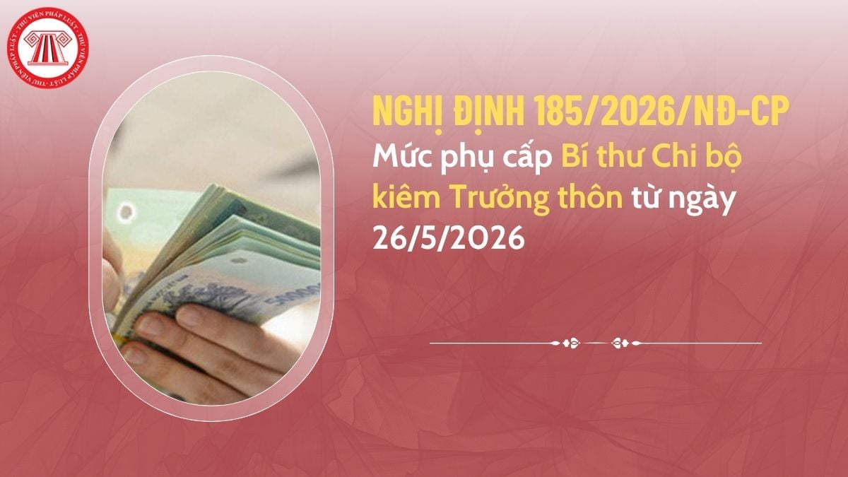 Pháp luật