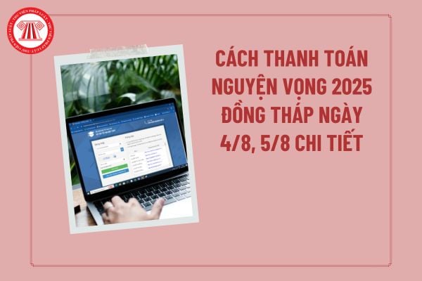 Pháp luật