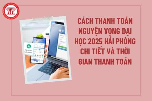 Pháp luật