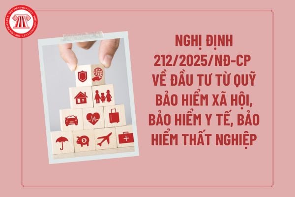 Pháp luật