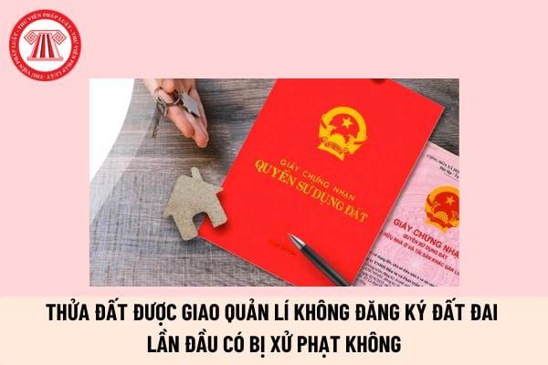 Thửa đất được giao để quản lý mà không thực hiện đăng ký đất đai lần đầu có bị xử phạt không?