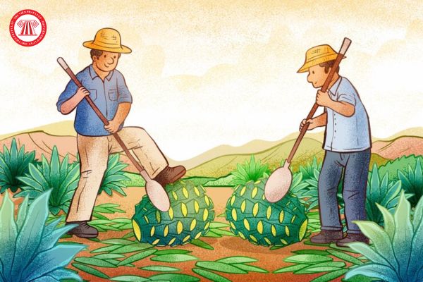 Thời hạn cho vay vốn của Quỹ Hỗ trợ nông dân tối đa bao nhiêu năm? Hội viên Hội nông dân Việt Nam có được vay vốn của Quỹ Hỗ trợ nông dân hay không?