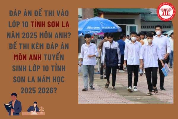 Pháp luật