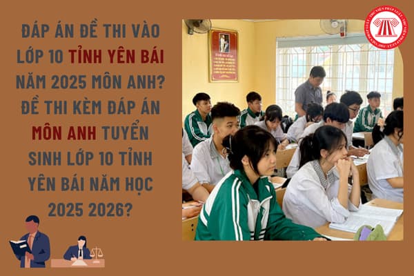 Pháp luật