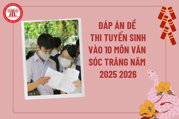 Pháp luật