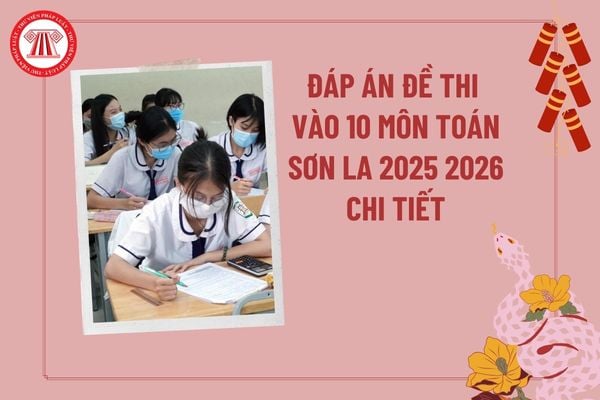 Pháp luật