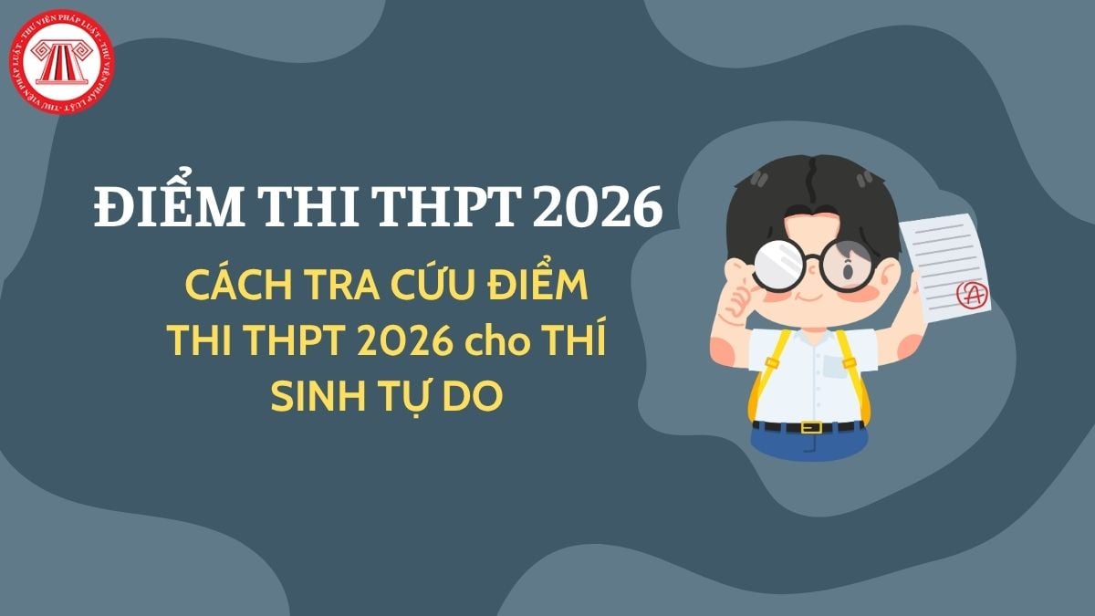 Pháp luật