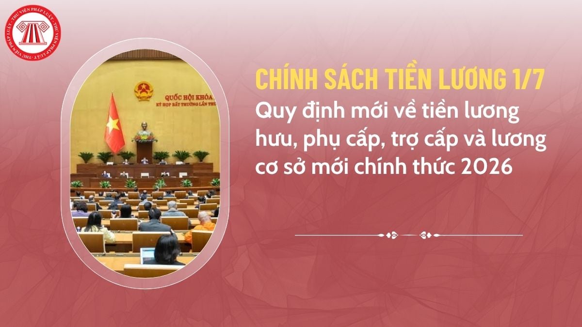 Pháp luật