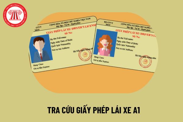 Hướng dẫn tra cứu giấy phép lái xe A1 tại www.gplx.gov.vn nhanh chóng nhất 2024? Điểm giấy phép lái xe được dùng để làm gì từ 1 1 2025?