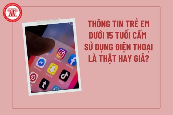 Pháp luật