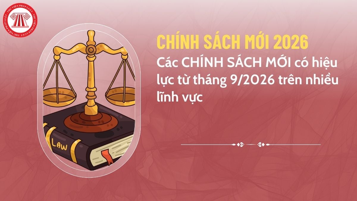 Pháp luật
