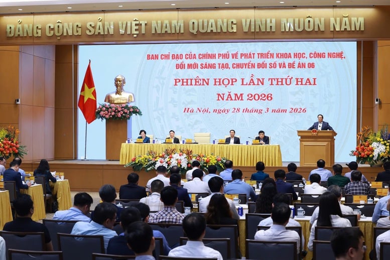 Pháp luật