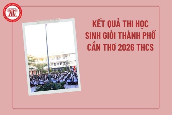 Pháp luật
