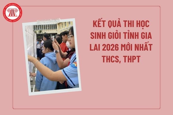 Pháp luật