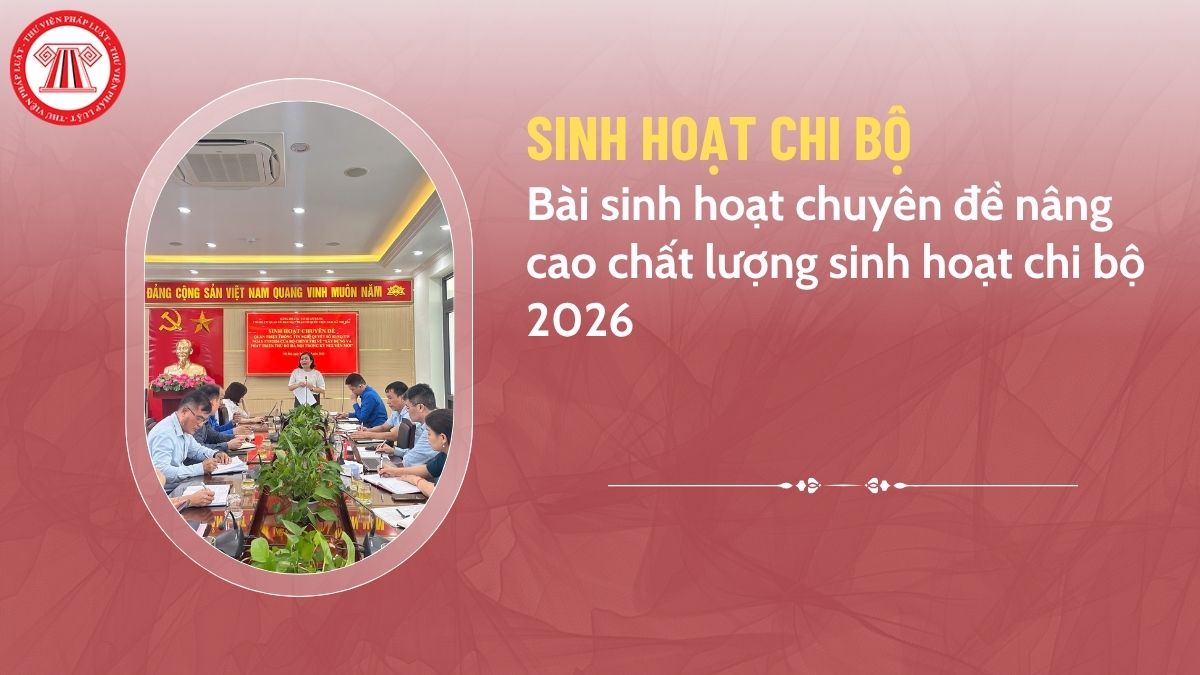 Pháp luật