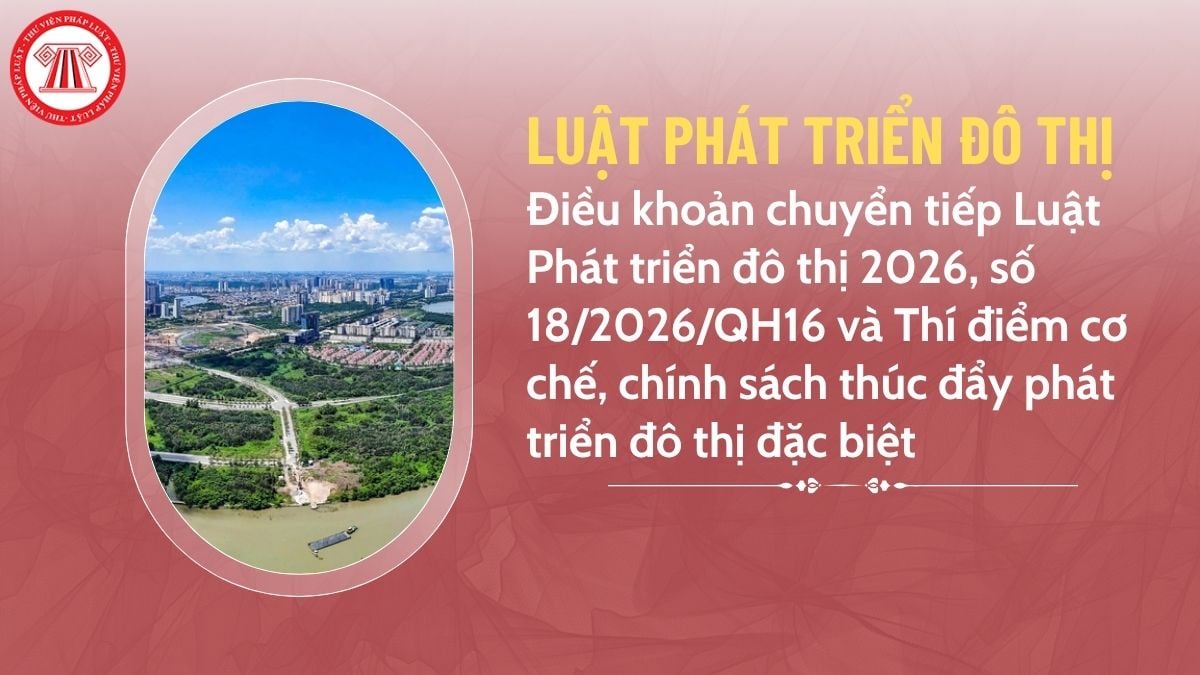 Pháp luật