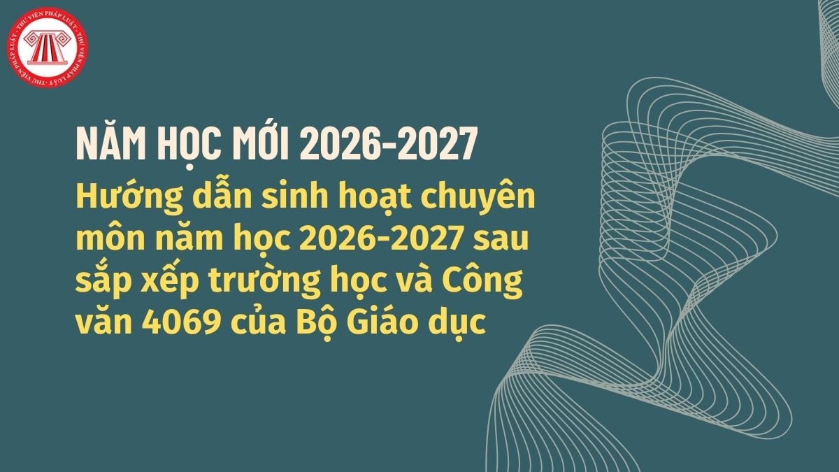 Pháp luật