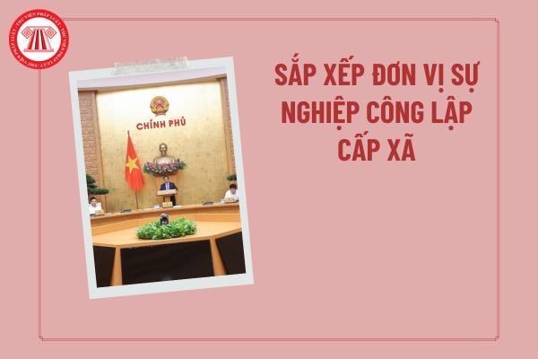 Sắp xếp đơn vị sự nghiệp công lập cấp xã: Đề án thành lập đơn vị sự nghiệp công lập cấp xã, vị trí việc làm cấp xã (dự kiến)?