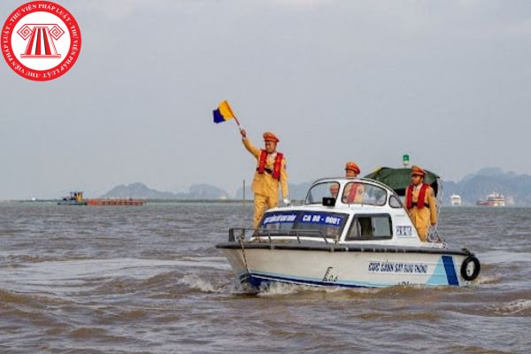 Pháp luật