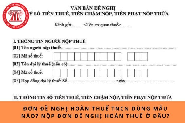 Pháp luật