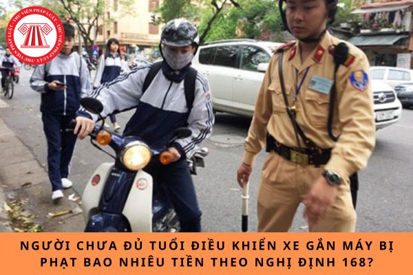Pháp luật