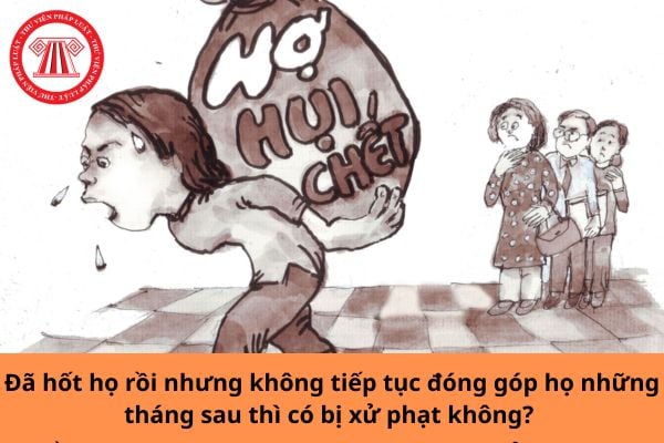 Pháp luật