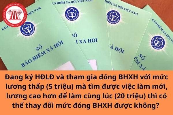 Pháp luật