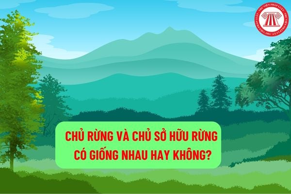 Chủ rừng và chủ sở hữu rừng có giống nhau hay không? Những trường hợp nào chủ rừng sẽ bị thu hồi rừng?