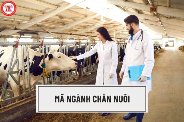 Mã ngành 014 là gì? Có áp dụng thuế thu nhập doanh nghiệp cho mã ngành chăn nuôi?