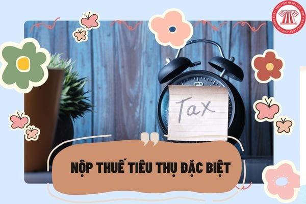 Loại hàng hóa nào không phải nộp thuế tiêu thụ đặc biệt?