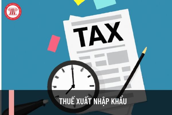 Ai là người nộp thuế xuất nhập khẩu? Thời hạn nộp thuế xuất nhập khẩu khi nào?