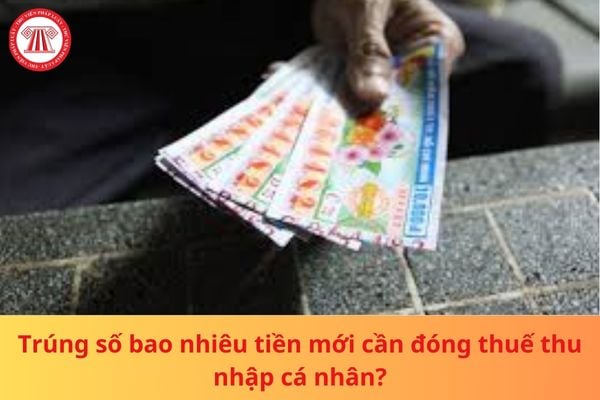 Pháp luật