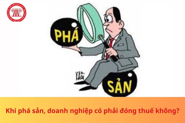 Pháp luật