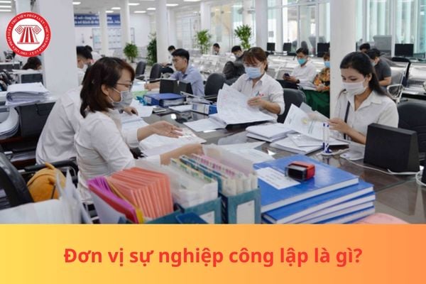 Pháp luật