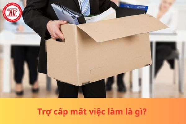 Pháp luật