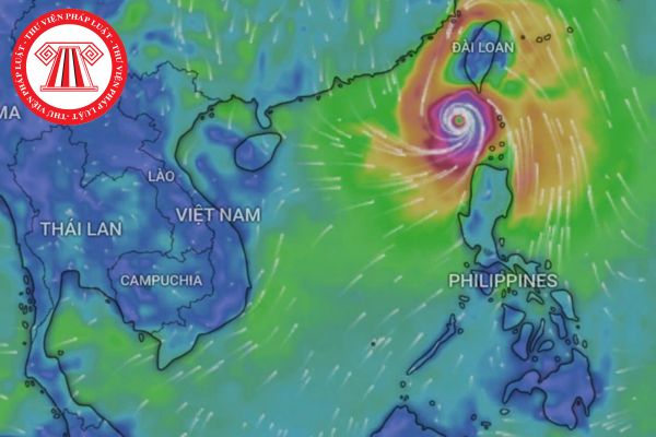 Bão số 5 là gì? Bão số 5 có sức gió mạnh nhất bao nhiêu km/h? Bão số 5 trở thành siêu bão khi nào?