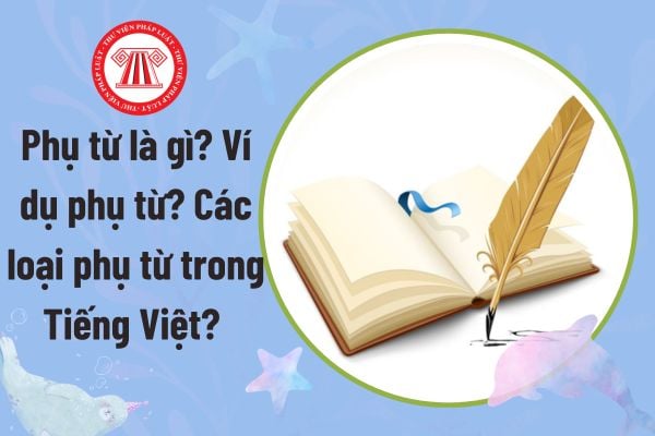 Pháp luật