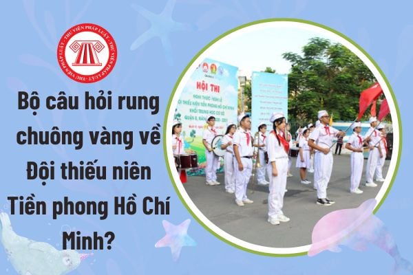 Pháp luật