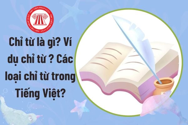 Pháp luật
