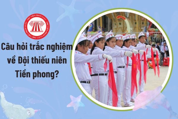 Pháp luật