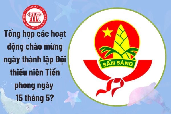 Pháp luật