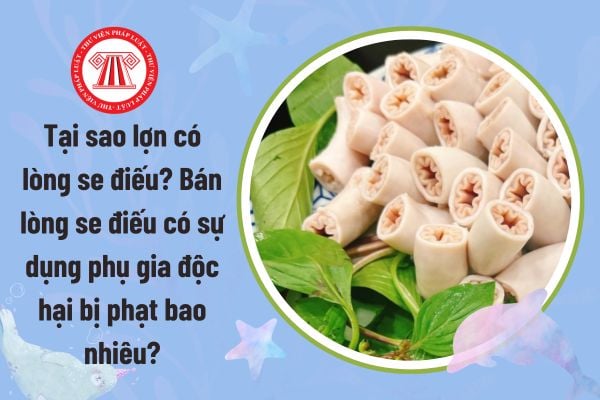 Pháp luật